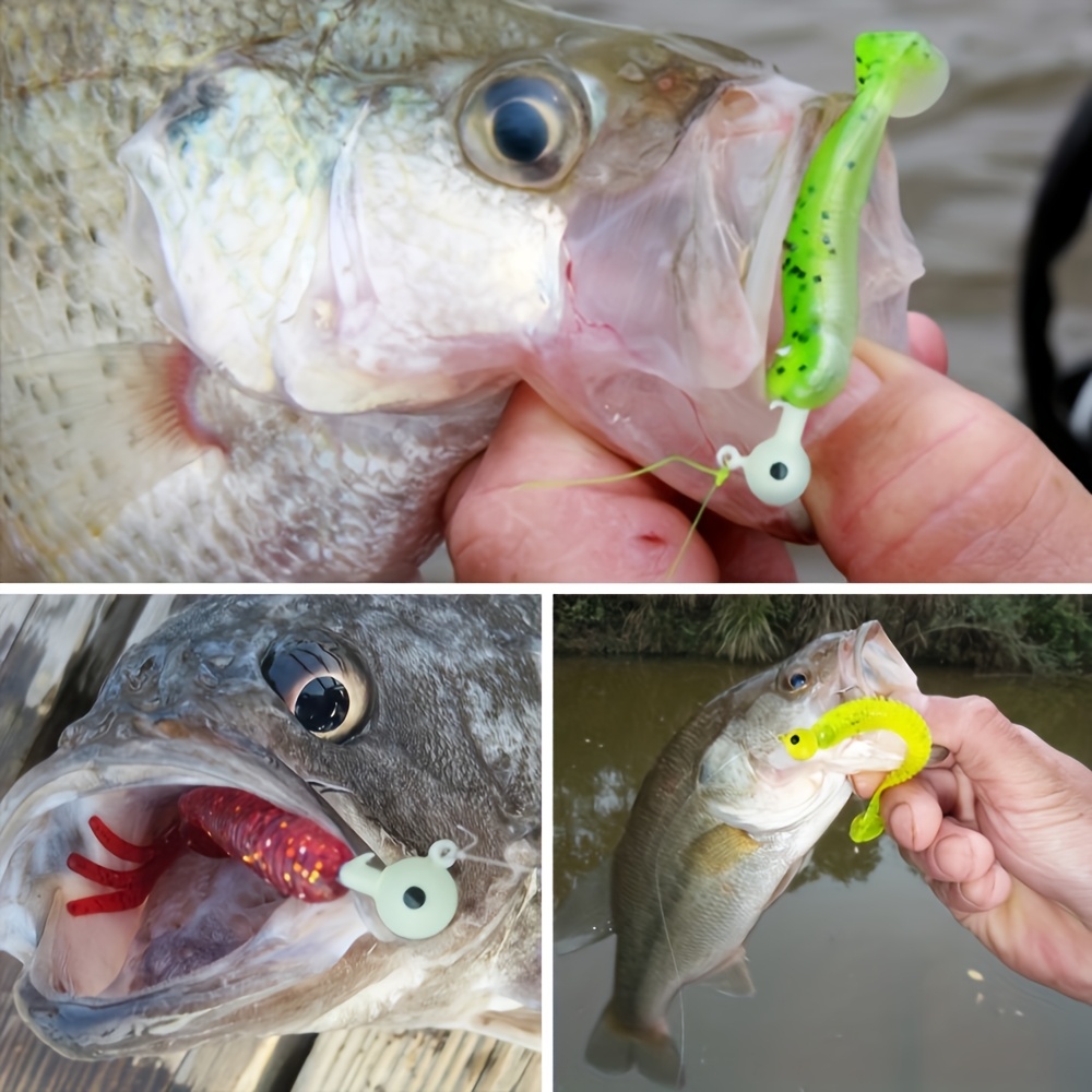 40-teiliges Angelköder-Set: 20 – Jig Head Lure Bewertung und Preis